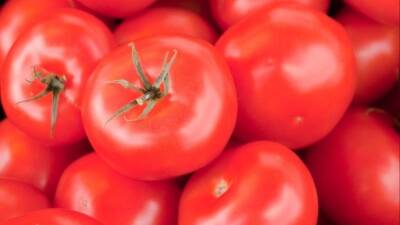 Томас Брэди - Врач-кардиолог из США порекомендовал забыть помидоры, как страшный сон - 5-tv.ru - США