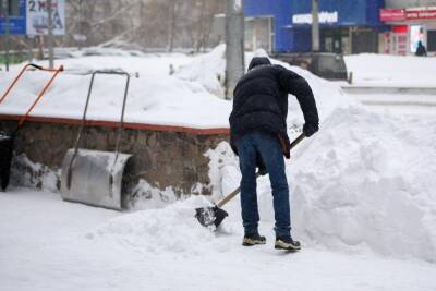 В Новосибирске днем 23 января начнется снегопад - novos.mk.ru - Новосибирск
