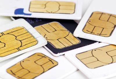 Эксперт Лысенко рассказал, как часто надо менять SIM-карту - online47.ru - Россия