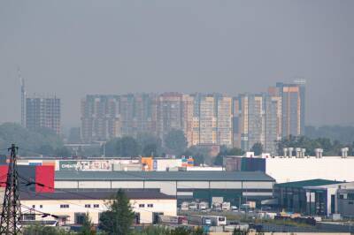 Густаво Зырянов - В Новосибирске уровень загрязнения воздуха достиг критических 9 баллов - sib.fm - Новосибирск - р-н Кировский