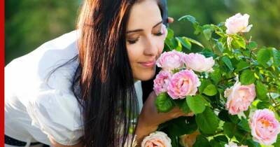 Райский сад: 6 самых ароматных цветов для участка - profile.ru - Россия - штат Гавайи - Сингапур