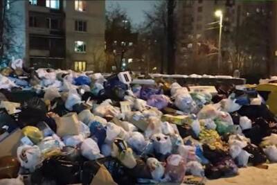 Александр Беглов - Губернатор Петербурга назвал рынок услуг по уборке в городе полукриминальным - mk.ru - Петербурга