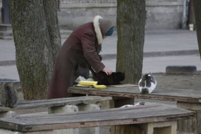 Вячеслав Володин - Володин прокомментировал ситуацию с бездомными животными в России - aif - Россия