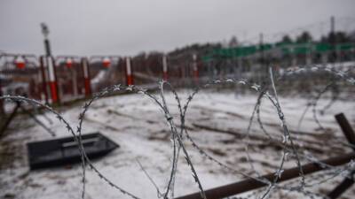 Анджей Дуда - Анна Михальская - Польша 25 января начнёт возведение забора на границе с Белоруссией - russian - Белоруссия - Польша