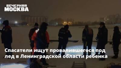 Спасатели ищут провалившегося под лед в Ленинградской области ребенка - vm - Ленинградская обл.
