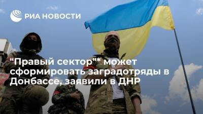 Сергей Лавров - В ДНР заявили, что "Правый сектор"* может сформировать заградительные отряды в Донбассе - ria - Россия - США - Украина - ДНР - Донецк