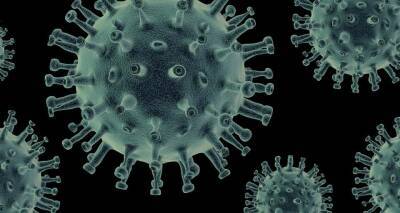 Ученые выяснили, как организм может блокировать все штаммы коронавируса и мира - cursorinfo - США - Израиль - Covid-19
