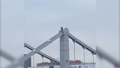 Мужчина взобрался на верхушку Крымского моста (видео) - tvc.ru - Москва