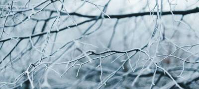 Мороз не придет 26 января в Карелию - stolicaonego.ru - Петрозаводск - республика Карелия