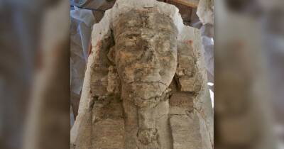 Сфинксы с лицом фараона. В Египте археологи обнаружили статуи Аменхотепа III (фото) - focus.ua - Украина - Египет
