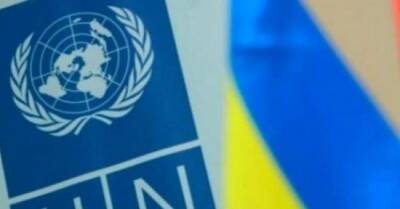Дмитрий Песков - Представитель Украины в ООН заявил, что военных действий на Донбассе не планируется - eadaily - Россия - США - Украина - Киев - Вашингтон - Крым
