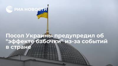 Посол Украины в Японии Корсунский предупредил об "эффекте бабочки" из-за событий в стране - ria - Москва - Россия - США - Украина - Токио - Япония