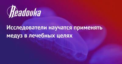 Исследователи научатся применять медуз в лечебных целях - readovka.news - Россия