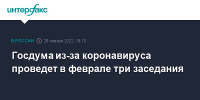 Александр Жуков - Госдума из-за коронавируса проведет в феврале три заседания - interfax - Москва - Россия - Госдума