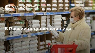 Росстат: в России с 15 по 21 января куриные яйца в среднем подешевели на 1,32% - ria - Москва - Россия