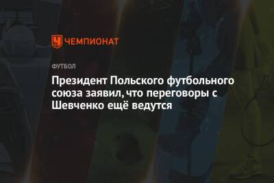 Андрей Шевченко - Президент Польского футбольного союза заявил, что переговоры с Шевченко ещё ведутся - championat.com - Россия - Италия - Польша - Катар