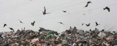 В ХМАО суд запретил использовать мусорный полигон, расположенный у аэропорта Советский - runews24.ru - Югра - Уральск - Советский
