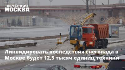 Петр Бирюков - Ликвидировать последствия снегопада в Москве будет 12,5 тысяч единиц техники - vm - Москва - Москва