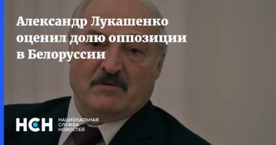 Александр Лукашенко - Александр Лукашенко оценил долю оппозиции в Белоруссии - nsn - Белоруссия