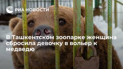 В Ташкентском зоопарке женщина сбросила девочку в вольер к бурому медведю - ria - Узбекистан - Ташкент