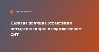 Названа причина отравления четырех женщин в подмосковном СНТ - ren.tv - Москва