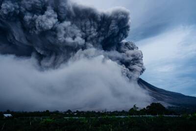 Извержение вулкана Тонга повлекло необычное явление природы - mk.ru - Россия - Тонга