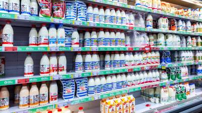 Михаил Мишустин - Минсельхоз России не ожидает резкого роста цен на молочную продукцию в 2022 году - russian - Россия