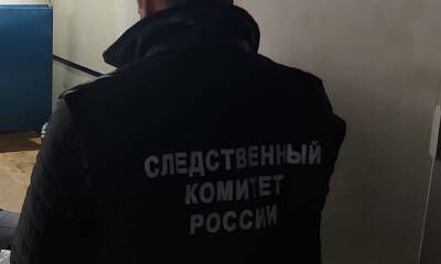 В Карелии психически больной мужчина убил женщину и ее сына - gubdaily.ru - район Суоярвский - республика Карелия - Скончался