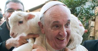 Франциск - Бенедикт XVI (Xvi) - Папа Римский раскритиковал людей, которые заводят домашних животных вместо детей (видео) - focus.ua - Украина - Ватикан