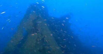 Считалась утраченной навсегда. Найдены обломки редкой подводной лодки Королевского флота (фото) - focus.ua - Украина - Италия - Ливан - Бейрут