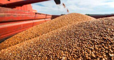 Анатолий Аксаков - В ГД РФ заявили о готовности поставлять зерно за рубеж, если ЕС вернет Россельхозбанк в SWIFT - produkt.by - Россия - Белоруссия - Госдума