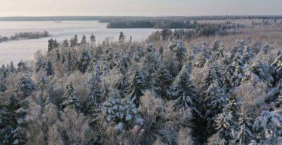 Сильный ветер и ночные заморозки ожидаются в Беларуси 6 декабря - grodnonews.by - Белоруссия - Экология