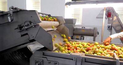 Предприятие по переработке фруктов и овощей строится в Худжанде - dialog.tj - Таджикистан - Согдийская обл. - Худжанд - На