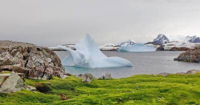Антарктида - Украинские полярники зарегистрировали в Антарктиде температурный рекорд (ФОТО) - dsnews.ua - Украина - Антарктида