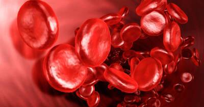 Сергей Нетесов - Американские ученые назвали группу крови, защищающую от тромбоза - ren.tv - США