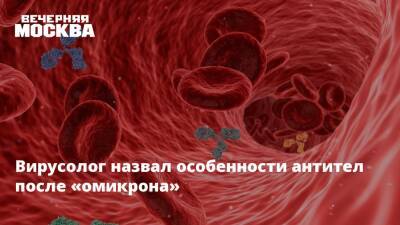 Андрей Исаев - Анатолий Альтштейн - Вирусолог назвал особенности антител после «омикрона» - vm - Россия