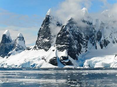 Антарктида - Антарктида превратится в зеленый континент. Почему это станет катастрофой для человечества - bloknot.ru - Италия - Антарктида - Экология