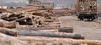 На лесозаготовках в Карелии зарезали рабочего - stolicaonego.ru - Медвежьегорск - республика Карелия