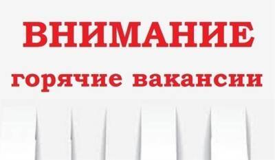 В Ульяновской области есть 37 горячих вакансий. Зарплаты – до 80000 - ulpravda.ru - Ульяновск - Ульяновская - Димитровград - Новоульяновск