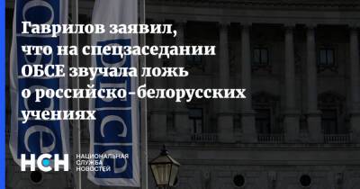 Константин Гаврилов - Гаврилов заявил, что на спецзаседании ОБСЕ звучала ложь о российско-белорусских учениях - nsn - Россия - Украина - Вена