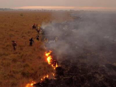 Аргентина - В Аргентине не могут остановить пожар, который уже уничтожил 600 000 гектаров земли - unn.com.ua - Украина - Киев - Аргентина - Парагвай