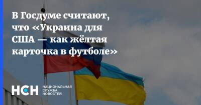 Владимир Путин - Дмитрий Белик - В Госдуме считают, что «Украина для США — как жёлтая карточка в футболе» - nsn - Россия - США - Украина - Госдума