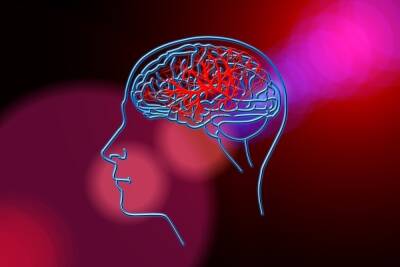 Врач-невролог назвала основные причины поражения сосудов мозга - mk.ru - Covid-19