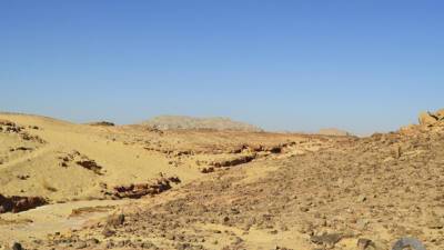 В Иордании найден ритуальный комплекс, возведенный 9000 лет назад - mir24.tv - Сирия - Казахстан - Турция - Франция - Саудовская Аравия - Иордания