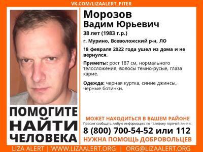 Элизабет Алерт - В Мурино без вести пропал 38-летний мужчина - ivbg.ru - Украина - Ленобласть