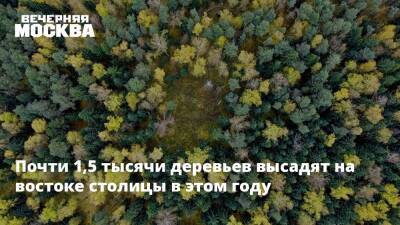 Почти 1,5 тысячи деревьев высадят на востоке столицы в этом году - vm - Москва - район Ивановский - Москва