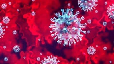 Петр Чумаков - Вирусолог объяснил, как коронавирус влияет на иммунитет - 5-tv.ru - Covid-19