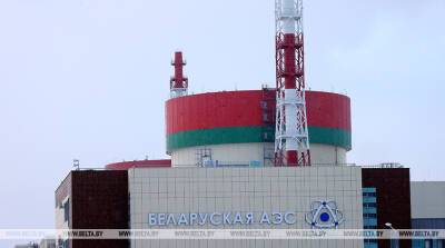 Виктор Каранкевич - Первый энергоблок БелАЭС в конце апреля будет остановлен для планово-предупредительного ремонта - belta.by - Россия - Белоруссия