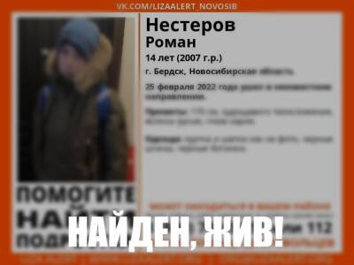 Под Новосибирском прекращены поиски пропавшего 14-летнего мальчика - sib.fm - Новосибирск - Новосибирская обл. - Бердск