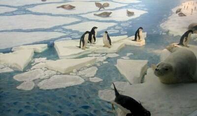 Геннадий Чародеев - В Антарктике ученые не обнаружили «параллельный мир», где время идет вспять - newizv